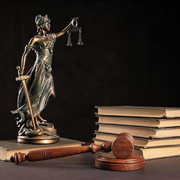 Derecho Constitucional imagen 2